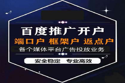 百度广告推广案例解析