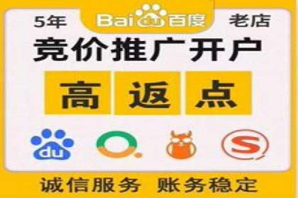 百度推广广告案例：快速抢占市场份额